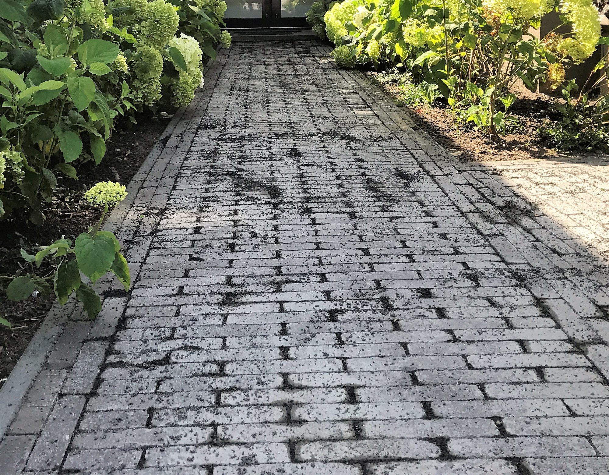 Klinkerpad tussen de hortensia’s